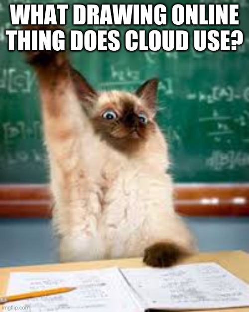 Raised hand cat | WHAT DRAWING ONLINE THING DOES CLOUD USE? | image tagged in raised hand cat | made w/ Imgflip meme maker