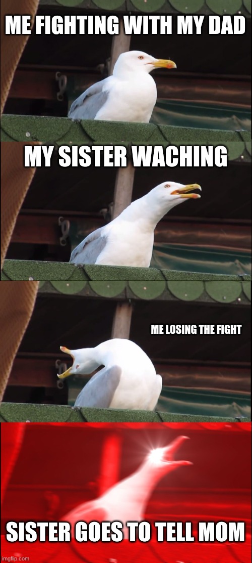 Please help | ME FIGHTING WITH MY DAD; MY SISTER WACHING; ME LOSING THE FIGHT; SISTER GOES TO TELL MOM | image tagged in memes,inhaling seagull | made w/ Imgflip meme maker