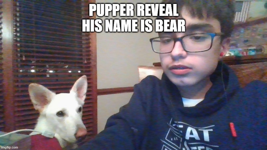 PUPPER REVEAL
HIS NAME IS BEAR | made w/ Imgflip meme maker