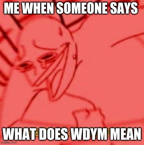 this has happened | ME WHEN SOMEONE SAYS; WHAT DOES WDYM MEAN | image tagged in wheezing intensifies | made w/ Imgflip meme maker