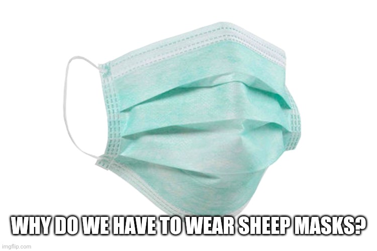 Breathing all thatcrap is not good for you. This corona BS isn't about health. Big diseases dont have such high survival numbers | WHY DO WE HAVE TO WEAR SHEEP MASKS? | image tagged in face mask,coronavirus,covidiots,hysteria,flu | made w/ Imgflip meme maker