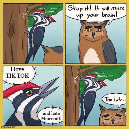stop it stupid bird | I love TIK TOK; and hate Minecraft! | image tagged in stop it stupid bird,memes | made w/ Imgflip meme maker