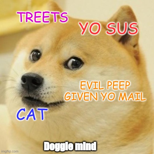 Doge | TREETS; YO SUS; EVIL PEEP GIVEN YO MAIL; CAT; Doggie mind | image tagged in memes,doge | made w/ Imgflip meme maker