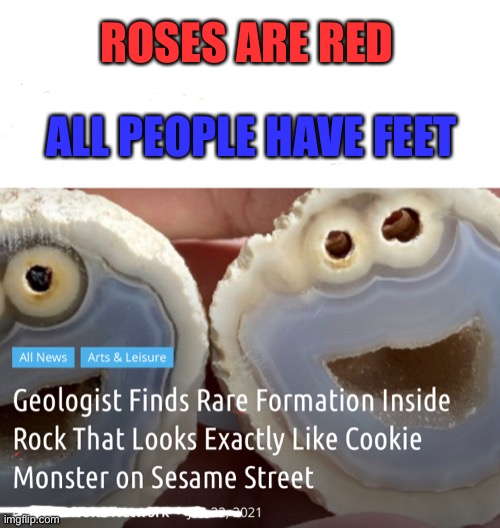 Cookie Monster rock | ROSES ARE RED; ALL PEOPLE HAVE FEET | image tagged in roses are red,sesame street,funny memes | made w/ Imgflip meme maker