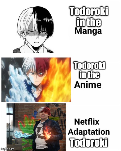 Netflix memes | Todoroki in the; Todoroki in the; Todoroki | image tagged in manga anime netflix adaption,my hero academia,todoroki | made w/ Imgflip meme maker