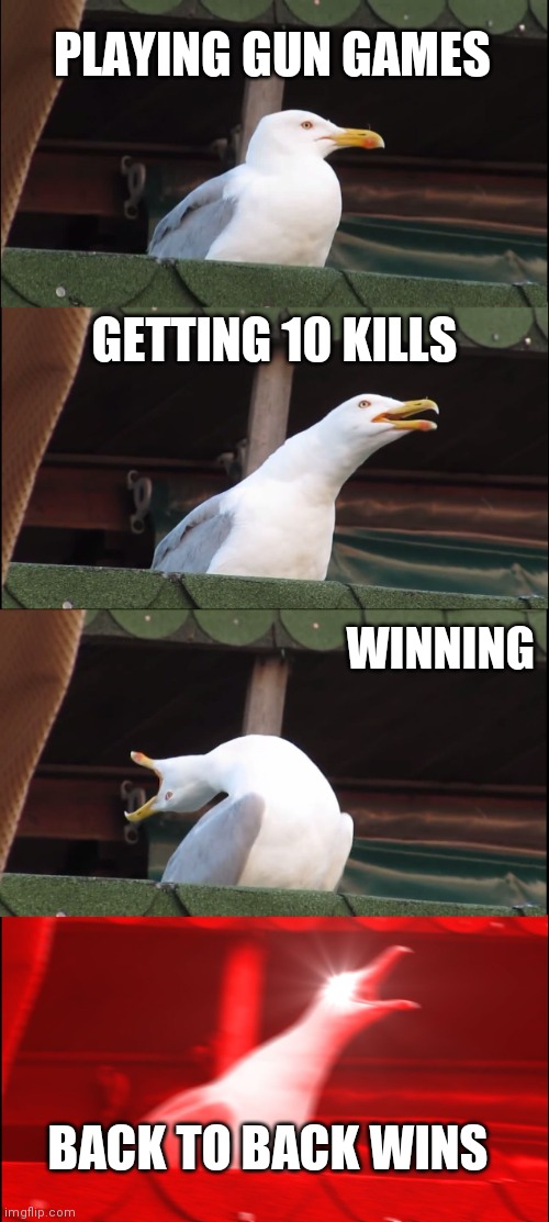 Inhaling Seagull | PLAYING GUN GAMES; GETTING 10 KILLS; WINNING; BACK TO BACK WINS | image tagged in memes,inhaling seagull | made w/ Imgflip meme maker