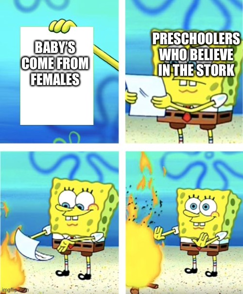 Spongebob Burning Paper | PRESCHOOLERS WHO BELIEVE IN THE STORK; BABY’S COME FROM FEMALES | image tagged in spongebob burning paper | made w/ Imgflip meme maker