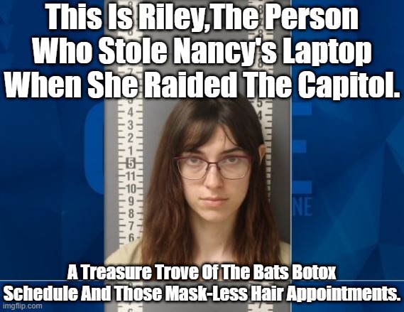 FROM THE WRITERS OF THE NARRATIVE OF MOHAMMAD ATTA'S INTACT PASSPORT COMES THE STORY OF RILEY WILLIAMS THE TRUMP SUPPORTER. | This Is Riley,The Person Who Stole Nancy's Laptop When She Raided The Capitol. A Treasure Trove Of The Bats Botox Schedule And Those Mask-Less Hair Appointments. | image tagged in mohammad atta,riley wlliams,oh no shes not antifa or blm,patsy,would you beleive | made w/ Imgflip meme maker