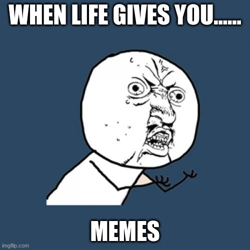 Y U No Meme | WHEN LIFE GIVES YOU...... MEMES | image tagged in memes,y u no | made w/ Imgflip meme maker