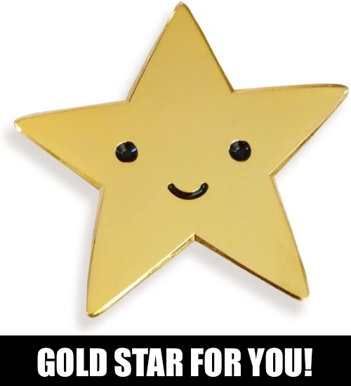 GOLD STAR FOR YOU! | made w/ Imgflip meme maker