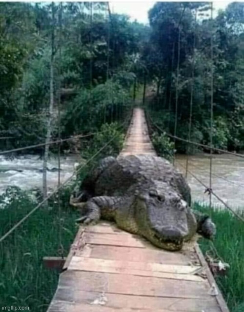 idk | made w/ Imgflip meme maker