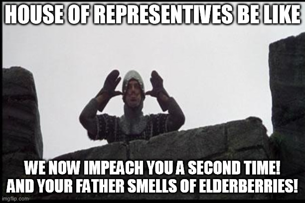 Trump impeachment | HOUSE OF REPRESENTIVES BE LIKE; WE NOW IMPEACH YOU A SECOND TIME! AND YOUR FATHER SMELLS OF ELDERBERRIES! | image tagged in french taunting in monty python's holy grail | made w/ Imgflip meme maker