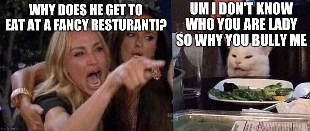 woman yelling at cat | UM I DON'T KNOW WHO YOU ARE LADY SO WHY YOU BULLY ME; WHY DOES HE GET TO EAT AT A FANCY RESTURANT!? | image tagged in woman yelling at cat | made w/ Imgflip meme maker