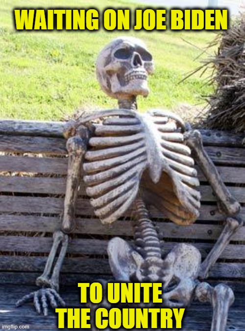 Waiting Skeleton | WAITING ON JOE BIDEN; TO UNITE THE COUNTRY | image tagged in memes,waiting skeleton,joe biden,democrats | made w/ Imgflip meme maker