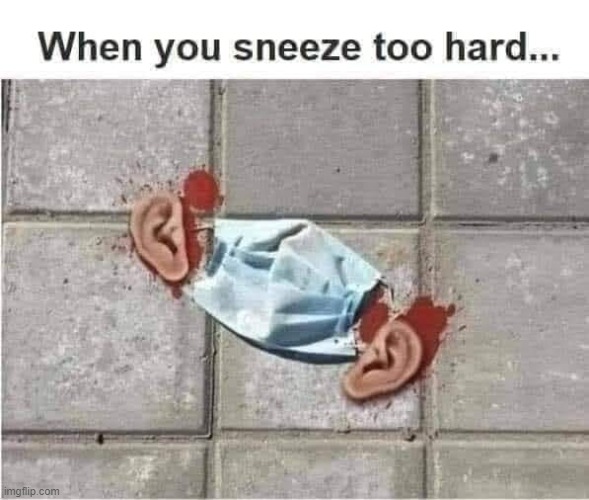 dont sneeze to hard! | image tagged in sneeze,face mask,severed ears | made w/ Imgflip meme maker