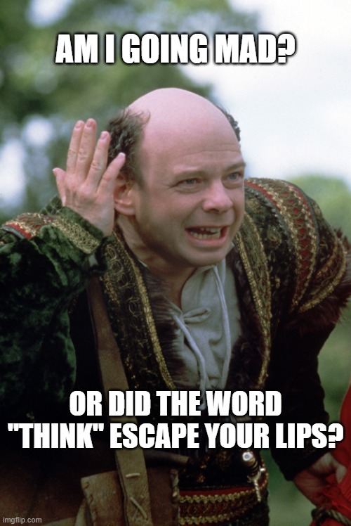 Am I Going Mad? | AM I GOING MAD? OR DID THE WORD "THINK" ESCAPE YOUR LIPS? | image tagged in think,vicini,princess bride,inigo montoya | made w/ Imgflip meme maker
