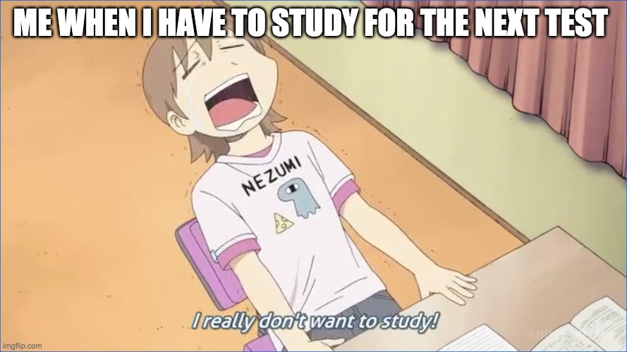 Me When i have to study a test | ME WHEN I HAVE TO STUDY FOR THE NEXT TEST | image tagged in i hate school | made w/ Imgflip meme maker