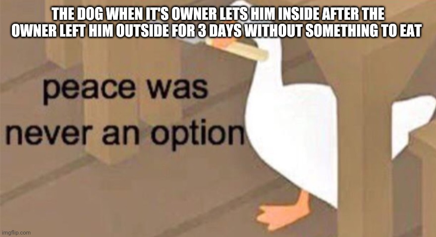Untitled Goose Peace Was Never an Option | THE DOG WHEN IT'S OWNER LETS HIM INSIDE AFTER THE OWNER LEFT HIM OUTSIDE FOR 3 DAYS WITHOUT SOMETHING TO EAT | image tagged in untitled goose peace was never an option | made w/ Imgflip meme maker
