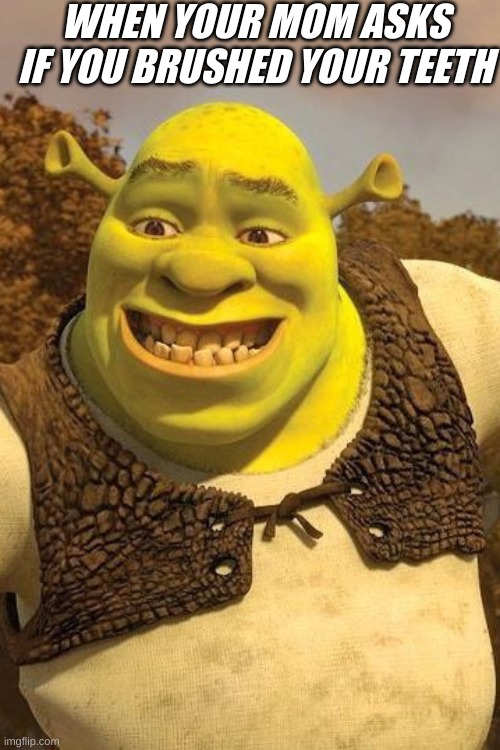 Smiling Shrek | WHEN YOUR MOM ASKS IF YOU BRUSHED YOUR TEETH | image tagged in smiling shrek | made w/ Imgflip meme maker