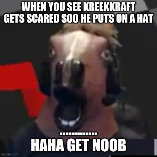 KreekCraft | WHEN YOU SEE KREEKKRAFT GETS SCARED SOO HE PUTS ON A HAT; ............. HAHA GET NOOB | image tagged in kreekcraft | made w/ Imgflip meme maker