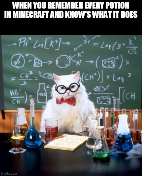 chemistry cat | WHEN YOU REMEMBER EVERY POTION IN MINECRAFT AND KNOW'S WHAT IT DOES | image tagged in memes,chemistry cat,minecraft | made w/ Imgflip meme maker