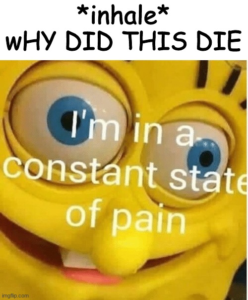  *inhale*
wHY DID THIS DIE | image tagged in i'm in a constant state of pain | made w/ Imgflip meme maker