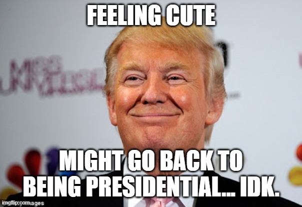Donald trump approves | FEELING CUTE; MIGHT GO BACK TO BEING PRESIDENTIAL... IDK. | image tagged in donald trump approves | made w/ Imgflip meme maker