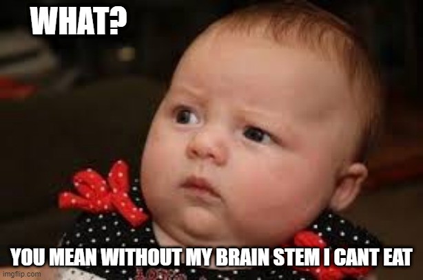 confused baby | WHAT? YOU MEAN WITHOUT MY BRAIN STEM I CANT EAT | image tagged in brain stem,baby | made w/ Imgflip meme maker