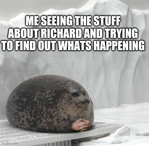 Explain to meh pls | ME SEEING THE STUFF ABOUT RICHARD AND TRYING TO FIND OUT WHATS HAPPENING | image tagged in seal with hands | made w/ Imgflip meme maker