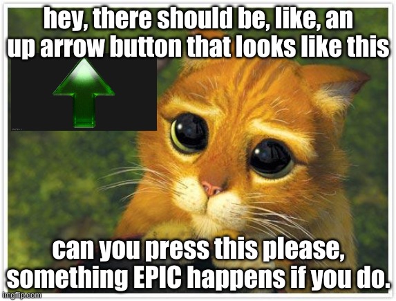 Shrek Cat | hey, there should be, like, an up arrow button that looks like this; can you press this please, something EPIC happens if you do. | image tagged in memes,shrek cat,please,epic,will you press the button,would you press the button | made w/ Imgflip meme maker