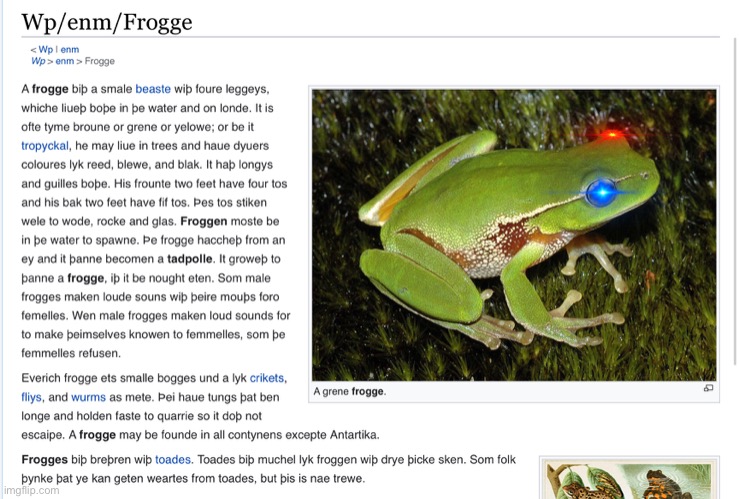 Frogge Don’t use this template I guess | image tagged in frogge don t use this template i guess | made w/ Imgflip meme maker