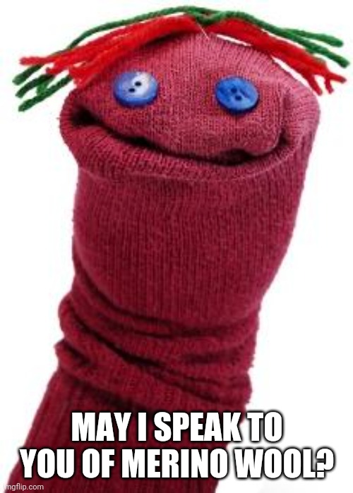 sock puppet | MAY I SPEAK TO YOU OF MERINO WOOL? | image tagged in sock puppet | made w/ Imgflip meme maker