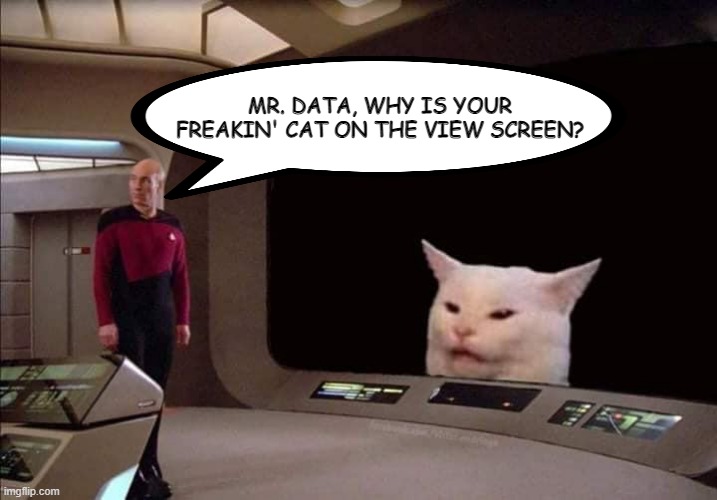 Spotted Spot |  MR. DATA, WHY IS YOUR FREAKIN' CAT ON THE VIEW SCREEN? | image tagged in picard confused about cat | made w/ Imgflip meme maker