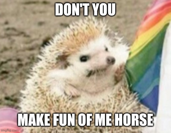 DON'T YOU MAKE FUN OF ME HORSE | made w/ Imgflip meme maker
