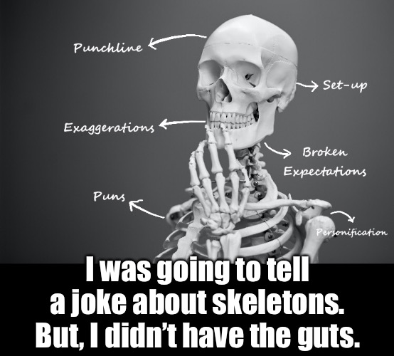 Spineless Pun | I was going to tell a joke about skeletons.
But, I didn’t have the guts. | image tagged in funny memes,eyeroll,bad jokes | made w/ Imgflip meme maker