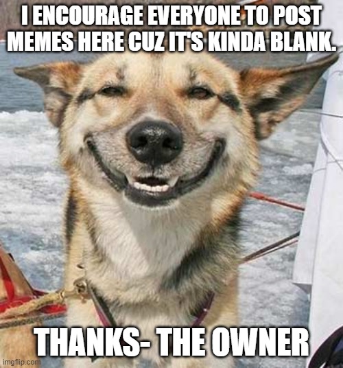 Humble reminder | I ENCOURAGE EVERYONE TO POST MEMES HERE CUZ IT'S KINDA BLANK. THANKS- THE OWNER | image tagged in happy dog,humble reminder | made w/ Imgflip meme maker