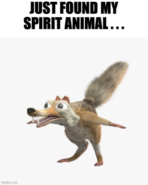 Scrat is my Spirit Animal | JUST FOUND MY SPIRIT ANIMAL . . . | image tagged in ice age,scrat,spirit animal | made w/ Imgflip meme maker