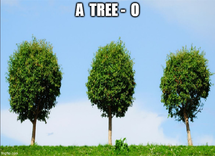 ALMOST   NO  ROOM  for  a    QUARTET! | A  TREE -  O | image tagged in tree  picture,couple of trees,picture  arbor image,landscape scene | made w/ Imgflip meme maker