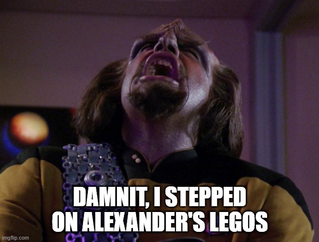 Ouch | DAMNIT, I STEPPED ON ALEXANDER'S LEGOS | image tagged in worf screams | made w/ Imgflip meme maker