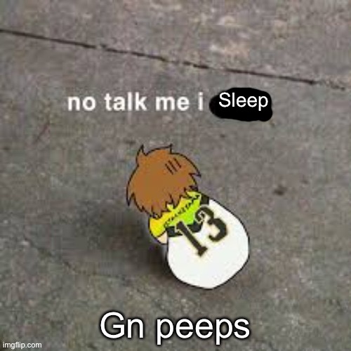 *sleeping rooster noises* | Sleep; Gn peeps | made w/ Imgflip meme maker