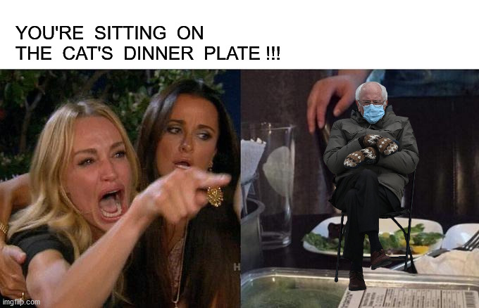 Woman Yelling At Bernie | YOU'RE  SITTING  ON  THE  CAT'S  DINNER  PLATE !!! | image tagged in memes,woman yelling at cat | made w/ Imgflip meme maker