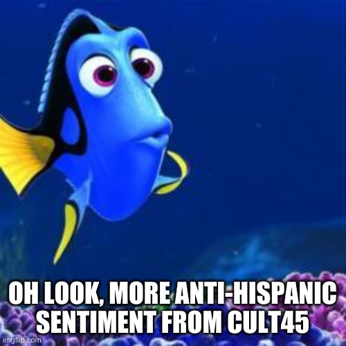 oh look | OH LOOK, MORE ANTI-HISPANIC SENTIMENT FROM CULT45 | image tagged in oh look | made w/ Imgflip meme maker