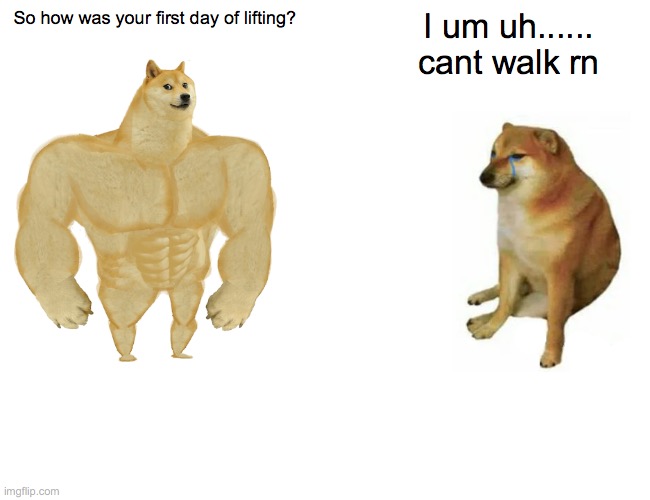 Buff Doge vs. Cheems | So how was your first day of lifting? I um uh...... cant walk rn | image tagged in memes,buff doge vs cheems | made w/ Imgflip meme maker