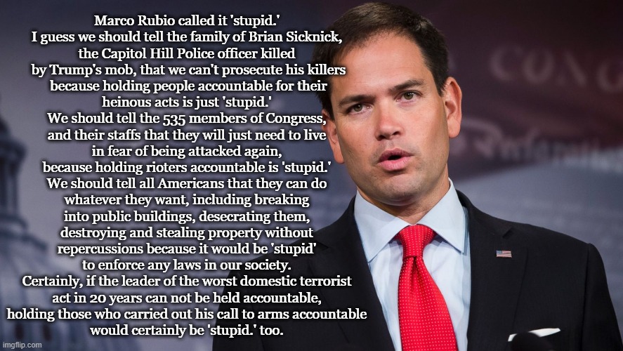 STUPID. | Marco Rubio called it 'stupid.' 
I guess we should tell the family of Brian Sicknick, 
the Capitol Hill Police officer killed 
by Trump's mob, that we can't prosecute his killers
 because holding people accountable for their 
heinous acts is just 'stupid.' 

We should tell the 535 members of Congress, 
and their staffs that they will just need to live 
in fear of being attacked again, 
because holding rioters accountable is 'stupid.' 

We should tell all Americans that they can do 
whatever they want, including breaking 
into public buildings, desecrating them, 
destroying and stealing property without 
repercussions because it would be 'stupid' 
to enforce any laws in our society. 

Certainly, if the leader of the worst domestic terrorist 
act in 20 years can not be held accountable, 
holding those who carried out his call to arms accountable 
would certainly be 'stupid.' too. | image tagged in stupid,marco rubio,senate,insurrection,donald trump | made w/ Imgflip meme maker