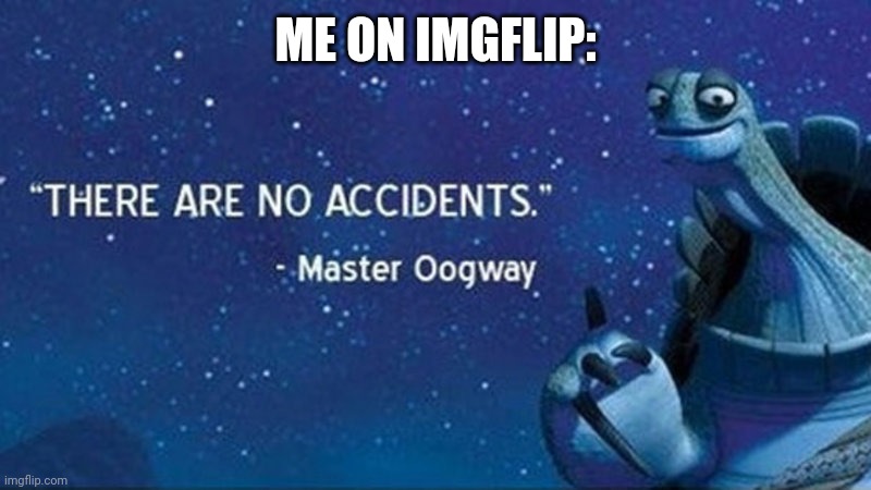 There are no accidents | ME ON IMGFLIP: | image tagged in there are no accidents | made w/ Imgflip meme maker