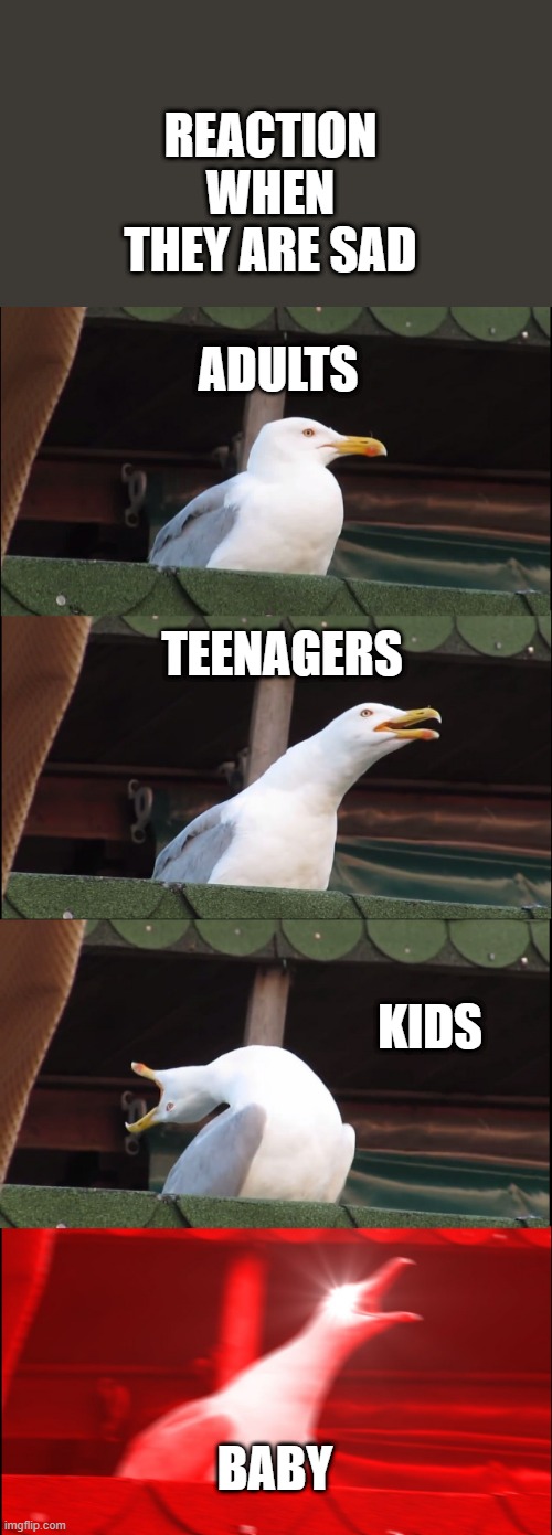 reactions | REACTION WHEN THEY ARE SAD; ADULTS; TEENAGERS; KIDS; BABY | image tagged in memes,inhaling seagull | made w/ Imgflip meme maker