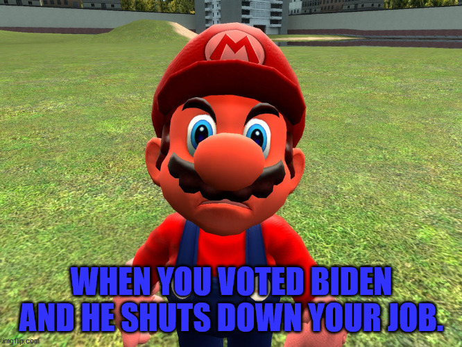 Angry Mario | WHEN YOU VOTED BIDEN AND HE SHUTS DOWN YOUR JOB. | image tagged in mario,plumbers union | made w/ Imgflip meme maker