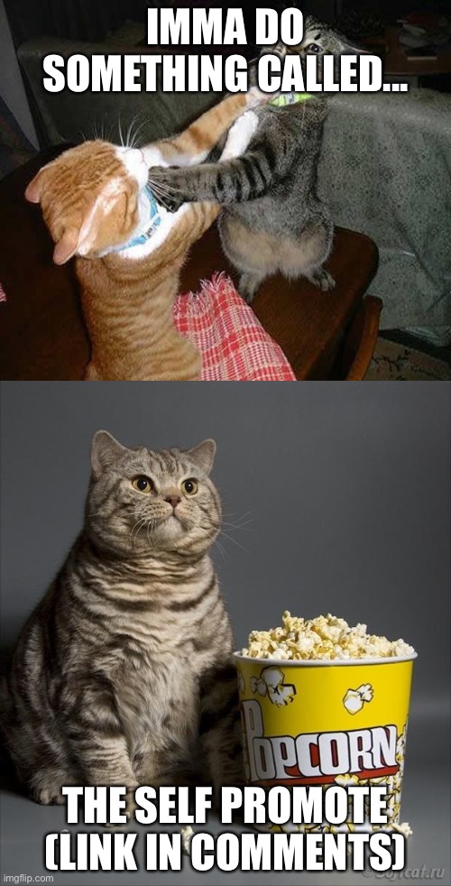 Cat watching other cats fight | IMMA DO SOMETHING CALLED... THE SELF PROMOTE (LINK IN COMMENTS) | image tagged in cat watching other cats fight | made w/ Imgflip meme maker