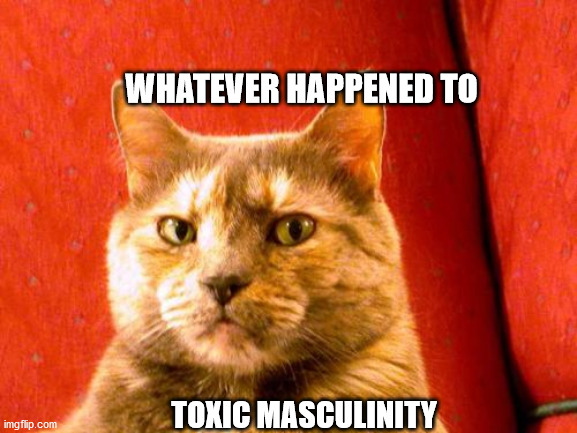 Suspicious Cat | WHATEVER HAPPENED TO; TOXIC MASCULINITY | image tagged in memes,suspicious cat | made w/ Imgflip meme maker