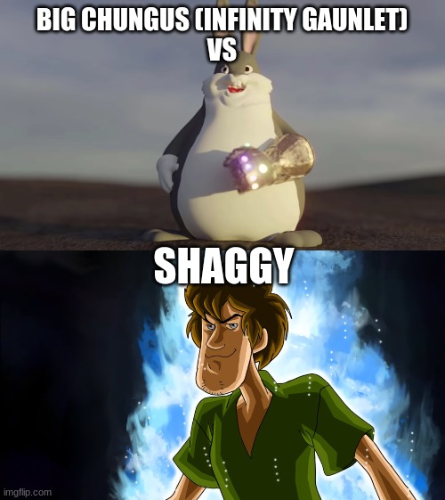 This is tough | BIG CHUNGUS (INFINITY GAUNLET)
VS; SHAGGY | image tagged in big chungus w/t infinity gantlet,ultra instinct shaggy | made w/ Imgflip meme maker